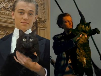 Cat replaces Kate Winslet as Leonardo DiCaprio’s love interest in ‘Titanic’ parody video: ‘Purrrfect romance’