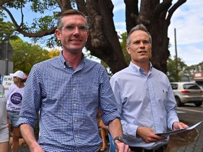 NSW blue-ribbon seat sends warning to Libs