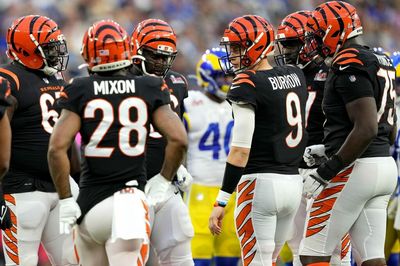 Where do the Cincinnati Bengals go from here?