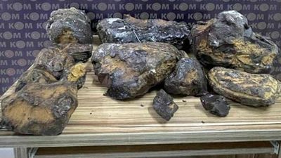 VIDEO: Smugglers Busted With Haul Of Whale Vomit Worth Over $700,000