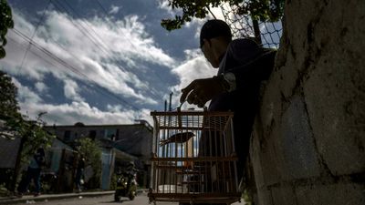 Cuban protesters sentenced to up to 20 years in prison, more await verdicts