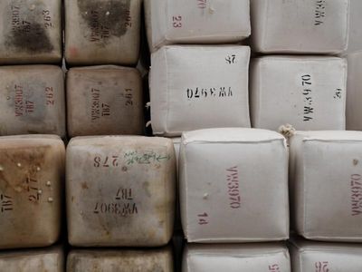 Wool demand rises as office workers return