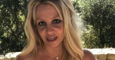 Britney Spears shows off cute puppy she adopted in Hawaii who makes her 'heart melt'
