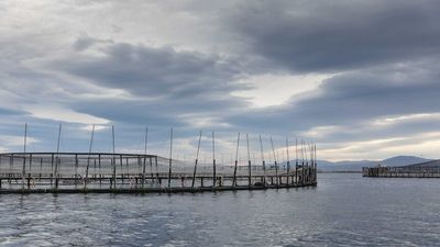 Tasmanian, federal governments accused of secrecy over deep-water fish farm plans