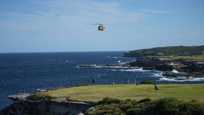Swimmer suffered 'catastrophic injuries' during shark attack in Sydney