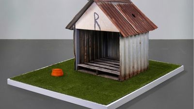 Christie's auctioning Costa Rican doghouse struck by meteorite