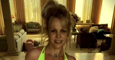 Britney Spears introduces 'the new addition to my family' with super sweet post
