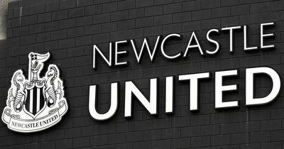 The 'big six's' fear of competition is the inspiration Newcastle and others needs to compete
