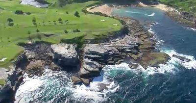 Sydney shark attack: Swimmer dies after 'catastrophic injuries' on beach