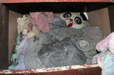 Police find missing girl Paislee Shultis in secret room 150 miles from where she was ‘kidnapped’ in New York