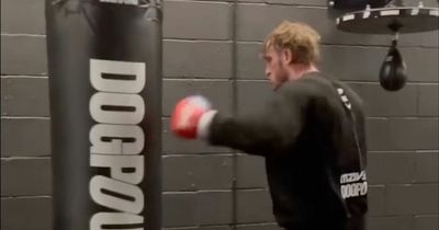 Boxing fans question Logan Paul's technique as YouTube star returns to the gym