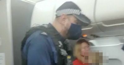 Moment police kick barrister's family off BA flight in nanny business class row