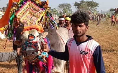 Chittoor’s ‘Jallikattu’ a victim of ‘misunderstanding and gossip’