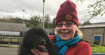 Co Fermanagh animal rescue shelter ‘saved’ after securing new premises