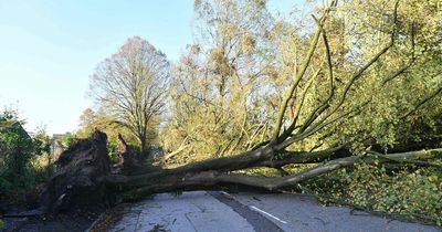 The difference in Met Eireann's Status Red, Orange and Yellow weather warnings as storms hit Ireland