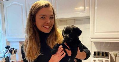 Disappointed dater adds cute puppy to Tinder profile picture in bid to find love