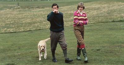 Princess Diana planned to expand her family with a dog before untimely death