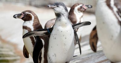 The best free things to do in Leeds for brilliant days out with the kids