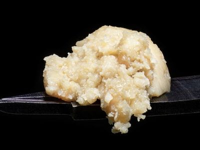 Avant Brands Launches Its First BLK MKT Premium Concentrates And New Flavor Of Tenzo