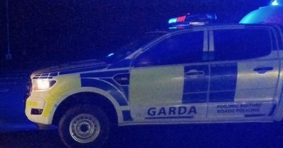 Garda checkpoints: Vehicle seized after driver avoids checks for over three years