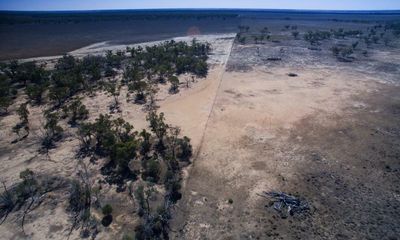 Land clearing in NSW tripled over past decade, State of the Environment 2021 report reveals