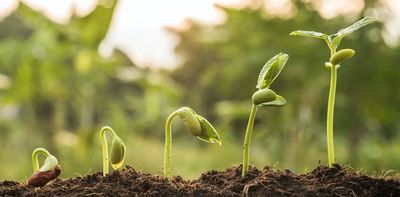 How ancient plants 'learnt' to use water when they moved on to land – new research