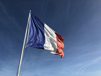 CBD Is Neither Addictive Nor Harmful Rules The Constitutional Council Of France