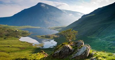 Snowdonia National Park to give staff a day off on St David's Day