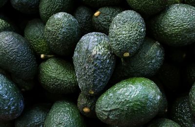 Mexico's avocados face fallout from violence, deforestation