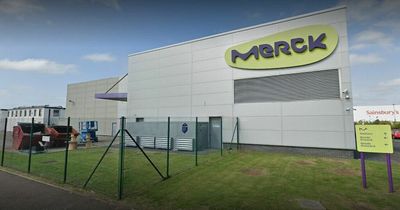 More than 50 jobs up for grabs in Irvine as Merck announce recruitment event