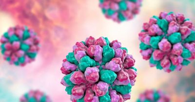 The nasty virus "pretty much eliminated" in Dumfries and Galloway