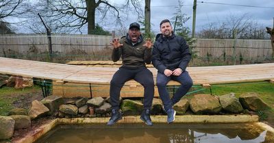 Lion keeper Reece Oliver looking to make Strelley Village enclosure public in future as celebrity filming takes place
