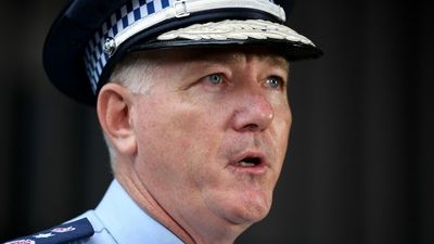 Newly retired NSW Police commissioner Mick Fuller did not declare racehorse shares to NSW government