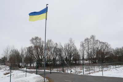 Russia "likely" to launch a "limited" military attack against Ukraine - Estonian intelligence