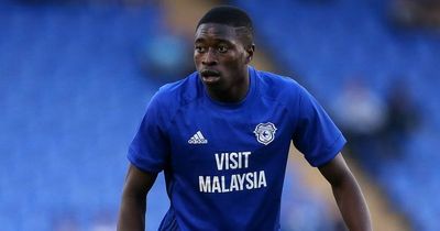 Former Cardiff City footballer Ibrahim Meite found guilty of stabbing man in back