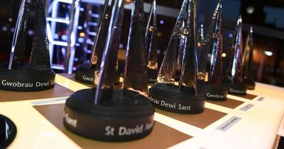 The real-life Welsh heroes honoured in the St David Awards shortlist 2022