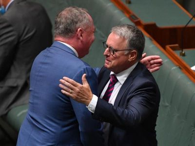 Labor's Joel Fitzgibbon 'well respected'