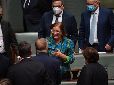 Labor MP farewells multicultural seat