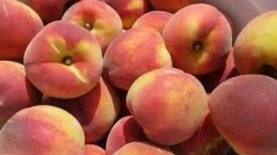 Australian peaches and nectarines bound for Vietnam for the first time in a decade