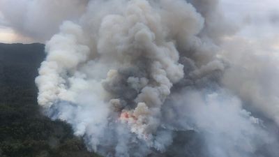 Fears for ancient Huon pines as fire sweeps through Tasmanian wilderness
