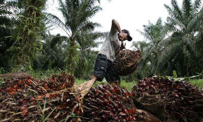 Harmful subsidies: why is the world still funding the destruction of nature?