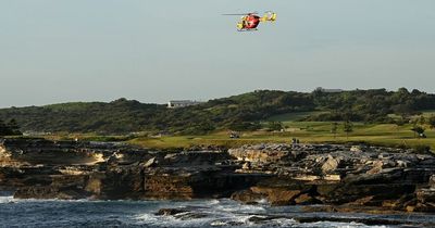 Sydney beaches shut after swimmer dies in first fatal shark attack in decades