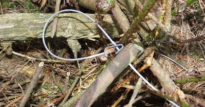 Investigation launched after snare trap discovered in woods near Lanarkshire school