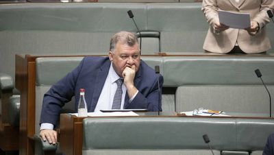 'Sonic weapons': Craig Kelly raises conspiracy theory about protesters in parliament