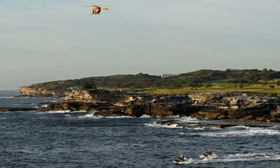 Marine scientists call for calm after swimmer killed by shark in Sydney