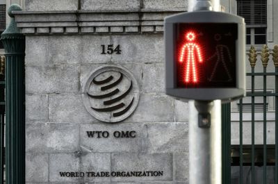 'No basis': Beijing dismisses US's WTO criticism