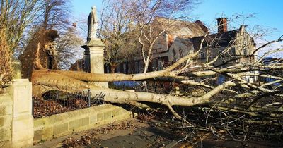 More than 1,000 North East homes still without power after Storm Dudley