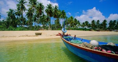 Vietnam travel restrictions for tourists set to ease three months early
