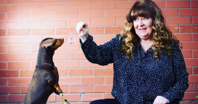Janey Godley shares sweet habit dog Honey has developed since cancer diagnosis