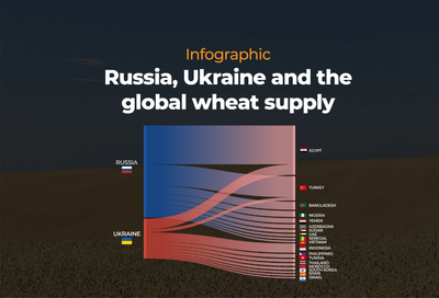 Infographic: Russia, Ukraine and the global wheat supply